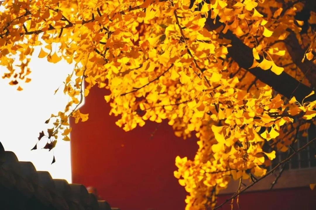 The East Hotel-Very Close To The Drum Tower,The Lama Temple,Houhai Bar Street,And The Forbidden City,There Are Many Old Beijing Traditional Hutongs Around The Hotel ,Experience The Culture Of Old Beijing Hutongs,Near Exit A Of Shichahai On Metro Line Exterior foto